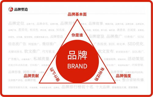 茶葉品牌營銷策劃方案與推廣策略 全方位咨詢服務(wù)指南